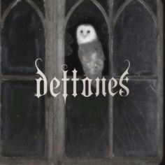 an owl sitting on top of a window sill with the word dettones in front of it