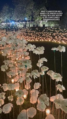 many candles are lit up in the grass with flowers on them and there is no image here to provide a caption for