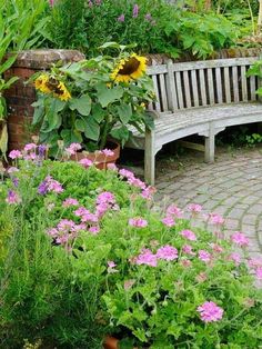 Sunflower Garden Ideas: Architecturally Designed Patio with Flower Pots Potted Sunflowers, Plant Cages, Grasses Garden, Backyard Paradise