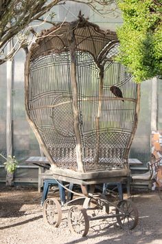 a bird in a cage sitting on top of a wooden cart next to a tree