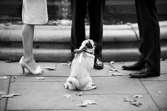 a small dog sitting on the ground next to two people