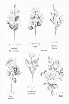 the different types of flowers are shown in black and white