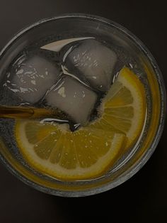 a glass filled with ice and lemon slices