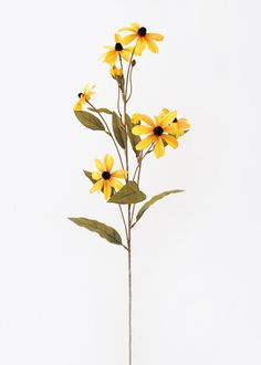 yellow flowers with green leaves on white background