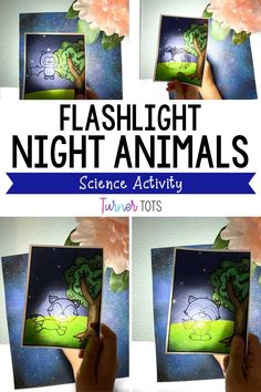 four pictures with the words flashlight night animals on them, and an image of a person holding