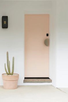 a potted cactus sitting in front of a door with a light pink color on it