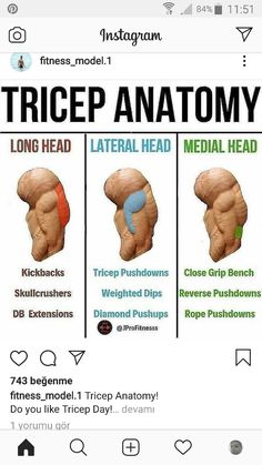 an image of three different types of muscles on a cell phone with the caption's description below