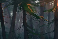 Location Inspiration, Landscape Concept, Fantasy Art Landscapes, Into The Woods, Art Appreciation, Nature Backgrounds, Warrior Cats