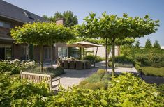 an outdoor garden with benches and trees