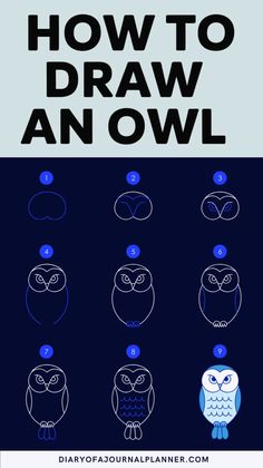 how to draw an owl with different shapes and sizes, including the words'how to draw