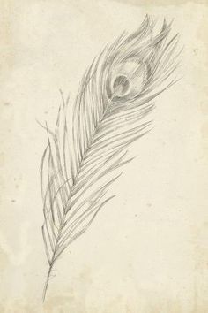 a drawing of a feather on a piece of paper