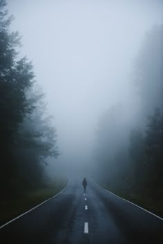 a person walking down the middle of an empty road in the foggy forest with trees on both sides