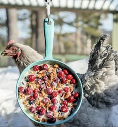 two chickens standing next to each other near a bowl of cereal with cherries in it