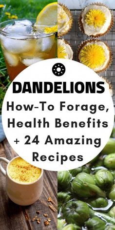 dandelions and lemons on a wooden table with text overlay that reads how to forage, health benefits + 24 amazing recipes