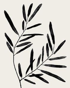 an ink drawing of a branch with leaves