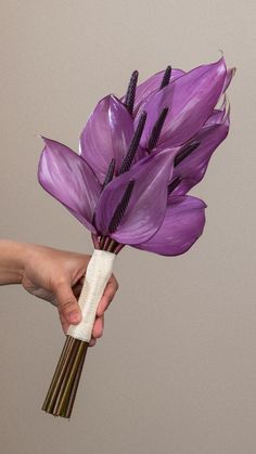 a person holding a bunch of purple flowers in their left hand with the stems still attached