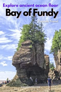 people are standing near some large rocks with trees on them and the words, explore ancient ocean floor bay of fundy canada travel