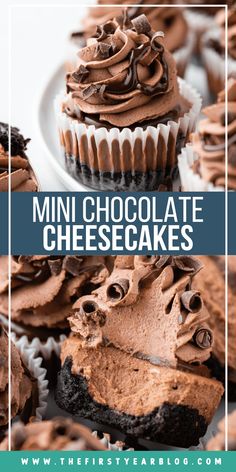 chocolate cupcakes with frosting on top and the title overlay reads, mini chocolate cheesecakes