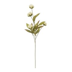 Cream Peony Stem by Ashland® | Michaels