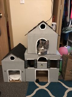 a cat sitting in a house made out of cardboard