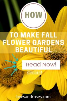 yellow flowers with text overlay how to make fall flower gardens beautiful read now create