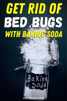 a jar filled with baking soda next to the words get rid of bed bugs with baking soda