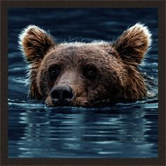 a brown bear swimming in the water with his head above the water's surface