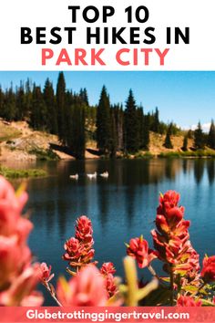 the top 10 best hikes in park city with text overlay that reads,