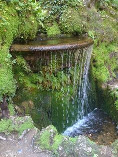 there is a small waterfall in the woods