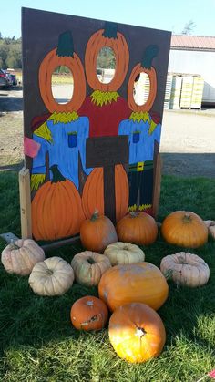 pumpkins and gourds are arranged in front of a sign for the scarecrow