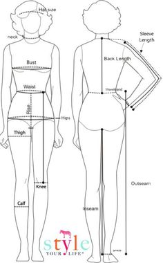 the measurements for a woman's body