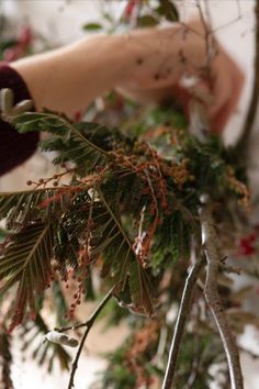 someone is cutting branches with scissors to make a christmas tree branch decoration on the table