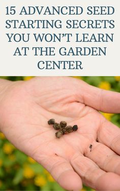 someone holding out their hand with the words 15 advanced seed starting secrets you won't learn at the garden center