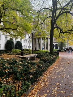 people walking down the sidewalk in front of an old building with columns and trees on both sides