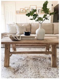 a living room with a couch, coffee table and potted plant on top of it