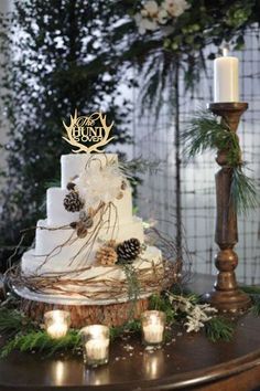 a three tiered cake with pine cones and evergreen branches on top is surrounded by candles