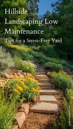 Create a stress-free yard with our hillside landscaping low-maintenance tips! Learn how to choose the right ground covers, use mulch effectively, and plant drought-tolerant species that thrive with minimal care. Target a beautiful, easy-care landscape that allows you to relax and enjoy your outdoor space. Ready to simplify your gardening routine? Click to find out how you can transform your hillside. Hillside Landscaping Low Maintenance, Garden On A Slope, Hillside Landscaping Ideas, Plants That Repel Flies, Landscaping Low Maintenance, Drought Tolerant Shrubs, Hillside Garden