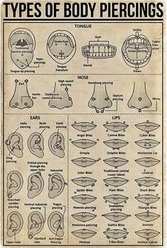 an old poster with different types of body piercings