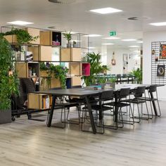 an office with tables, chairs and plants in the middle of the room that is decorated with bookshelves