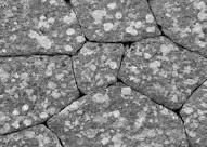 black and white photograph of rocks with small dots on them, looking like hexagonal structures