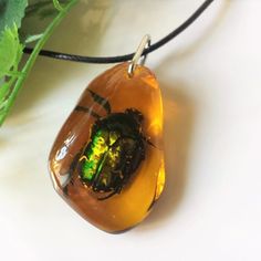 Real Scarab Beetle in Amber Resin pendant necklace cord Amulet of Love Luck Natural insect jewelry Bug Nature necklace yellow green egypt summer jewelry christmas gift for childrenLovely Amulet Scarab Large pendant on a black cordAmber color epoxy resingift to a friend, girlfriend holiday birthday, christmaschildren gift loves insectsUS size 1.60 inch by 1 inchblack cord 18 inches + 1.97 chainBeetles are large and medium,I send anypendants 4 cm by 2.5 cmcord 45 cm + extension chainshipping in a Wizard Jewelry, Funny Jewelry, Resin Pendant Necklace, Natural Gemstone Necklace, Baltic Amber Jewelry