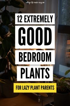 the text reads, 12 extremely good bedroom plants for lazy plant parents