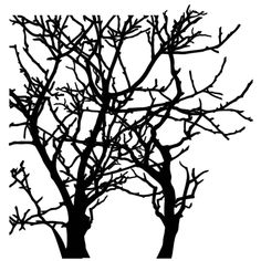 black and white silhouettes of trees with no leaves on them, against a white background