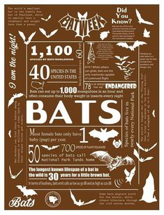 an info poster with bats on it and the words bat's written in different languages