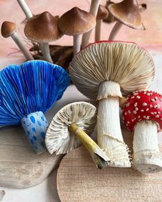 several different types of mushrooms on a table