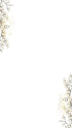 a white background with flowers and leaves in the corner, on top of each other