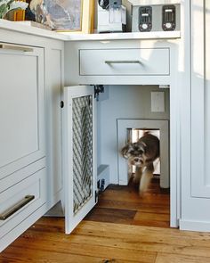 a dog is coming out of its kennel in the kitchen