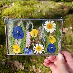 a person holding up a glass box with pressed flowers on the inside, and green grass in the background