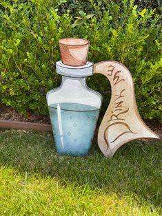 two vases sitting in the grass next to each other