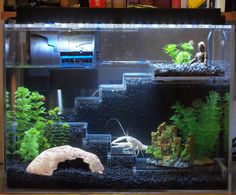 an aquarium filled with different types of plants